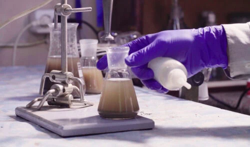 Laboratory flask during chemical testing process Laboratory flask during chemical testing process